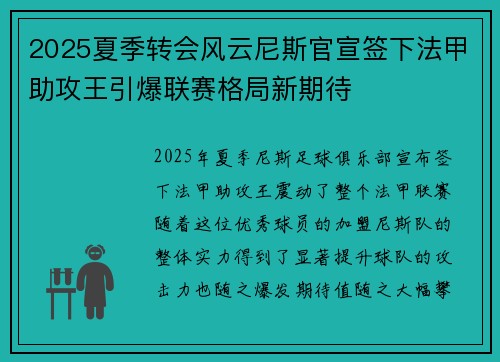 2025夏季转会风云尼斯官宣签下法甲助攻王引爆联赛格局新期待