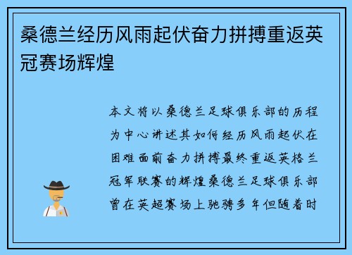 桑德兰经历风雨起伏奋力拼搏重返英冠赛场辉煌 桑德兰经历风雨起伏奋力拼搏重返英冠赛场辉煌